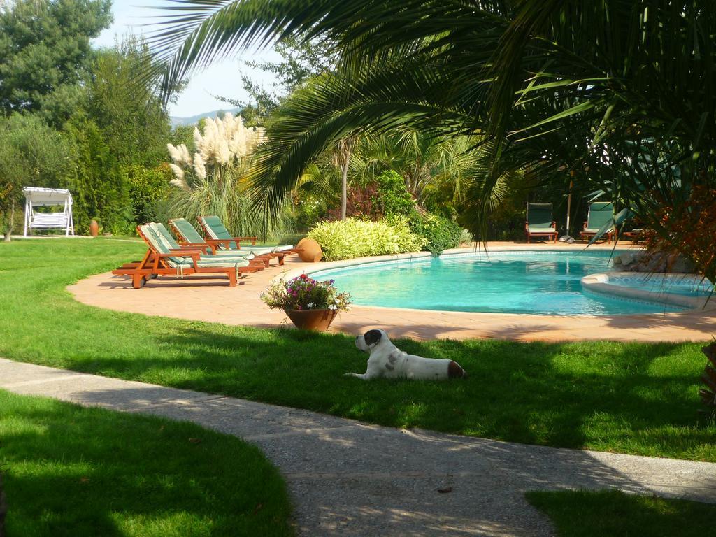 Hotel Boutique Solaz Bella Vista De Colchagua Санта Крус Екстериор снимка